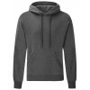 Classic Hooded Sweat  G_F421