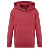 Kids Classic Hooded Sweat  G_F421NK