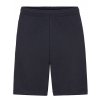 Lightweight Shorts  G_F495