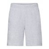 Lightweight Shorts  G_F495