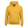 Heavy Blend™ Youth Hooded Sweatshirt  G_G18500K