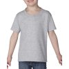 Heavy Cotton™ Toddler T-Shirt  G_G5100P