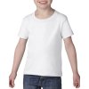 Heavy Cotton™ Toddler T-Shirt  G_G5100P