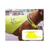 Safety Vest for Dogs  G_KX104