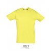 Regent T-Shirt 150  G_L150