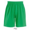 Basic Shorts San Siro 2  G_LT01221