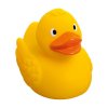 Swimming duck  G_MBW31176