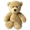 Plush Bear Ben  G_MBW60228
