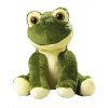 Zoo Animal Frog Arwin  G_MBW60625