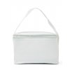 Non-woven small cooler bag  G_NT3656