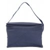 Non-woven small cooler bag  G_NT3656