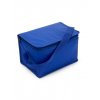 Non-woven small cooler bag  G_NT3656