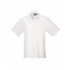 Men`s Poplin Short Sleeve Shirt  G_PW202