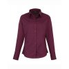 Ladies` Poplin Long Sleeve Blouse  G_PW300