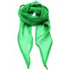 Women`s Colour Chiffon Scarf  G_PW740