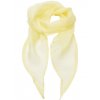 Women`s Colour Chiffon Scarf  G_PW740