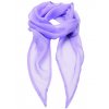 Women`s Colour Chiffon Scarf  G_PW740