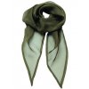 Women`s Colour Chiffon Scarf  G_PW740