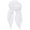 Women`s Colour Chiffon Scarf  G_PW740