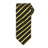 Sports Stripe Tie  G_PW784