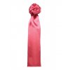 Women`s Business Scarf - Plain  G_PWB30