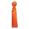 Women`s Business Scarf - Plain  G_PWB30