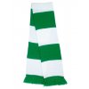 Team Scarf  G_RT146X