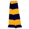 Team Scarf  G_RT146X