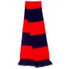 Team Scarf  G_RT146X