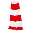 Team Scarf  G_RT146X