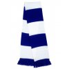 Team Scarf  G_RT146X