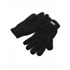 Thinsulate Gloves  G_RT147X