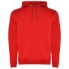 Urban Hooded Sweatshirt  G_RY1067