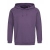 Unisex Hooded Sweatshirt  G_S4200