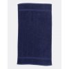 Luxury Hand Towel  G_TC03