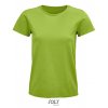 Pioneer Women T-Shirt  G_L03579