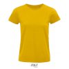 Pioneer Women T-Shirt  G_L03579