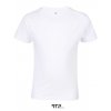 Kids Tempo T-Shirt 185 gsm (Pack of 10)  G_RTP03258