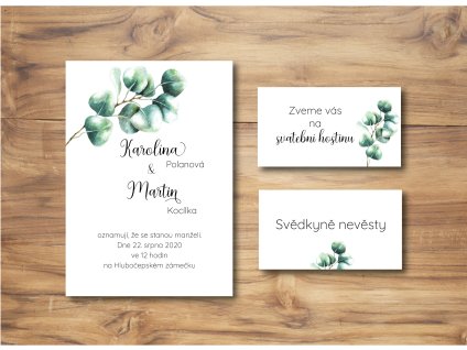 A6 eucalyptus II wall
