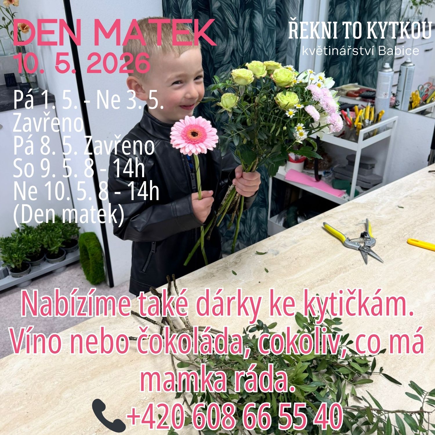 DM 26