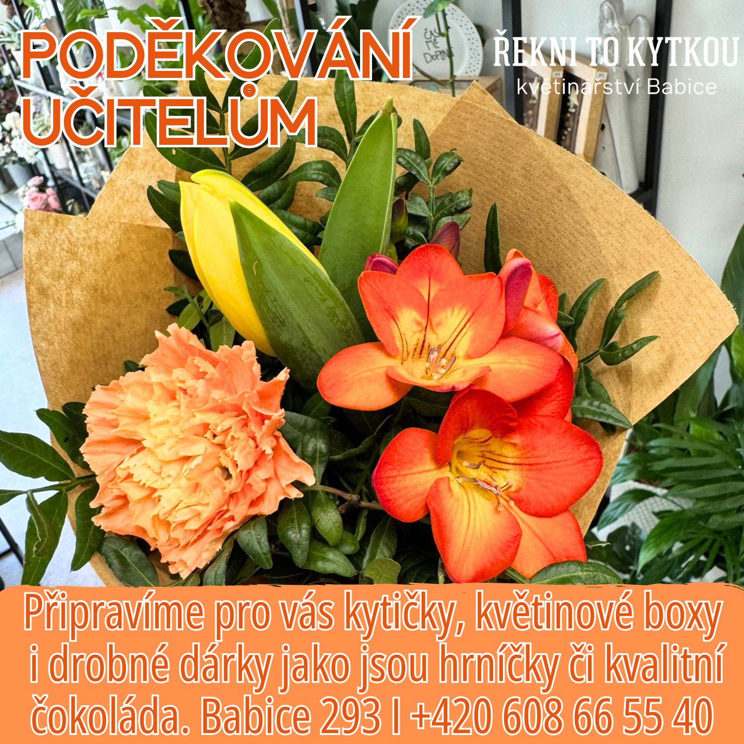 Poděkování učitelům