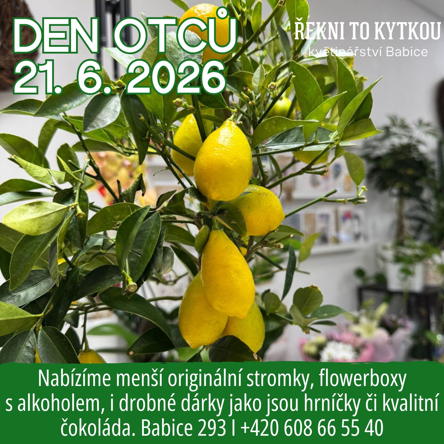 Den otců