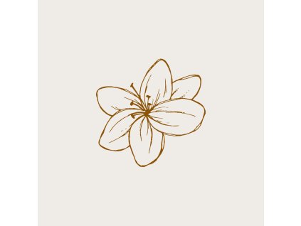 Dárková kytice za 500 Kč