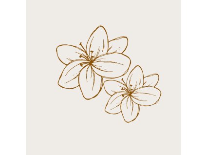 Dárková kytice za 800 Kč