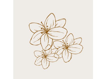 Dárková kytice za 1000 Kč