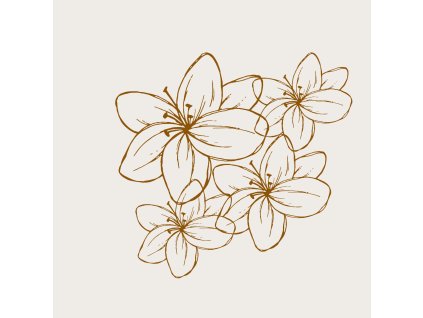 Dárková kytice za 1500 Kč