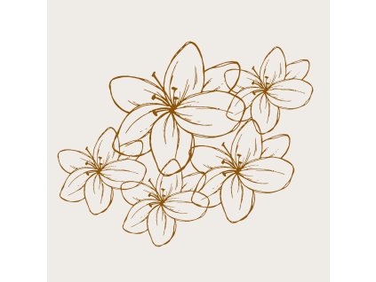 Prémiová kytice za 2000 Kč