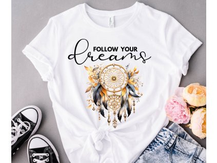dream1
