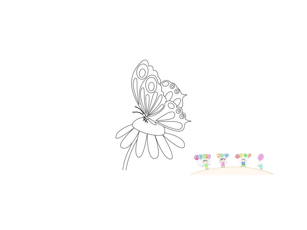 foto produkt 800 400 px motyl