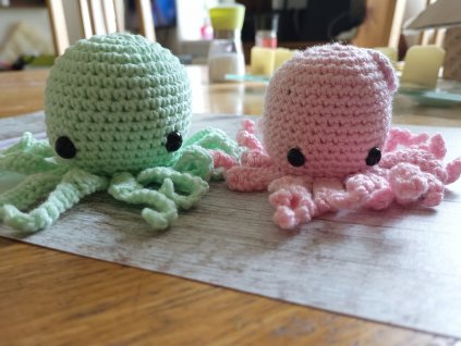 Háčkovaná chobotnička